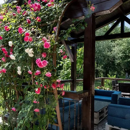 Hotel Organic Creek Garden Deluxe