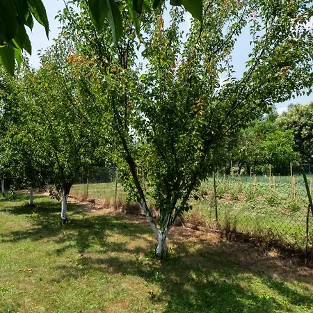 Organic Creek Garden Deluxe Hotel 4*