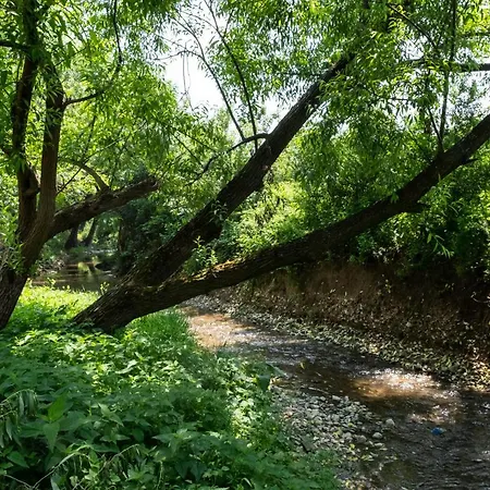 Hotel Organic Creek Garden Deluxe 4*